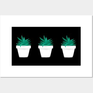 Succulent Plants Posters and Art